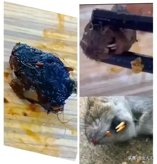 最新资讯